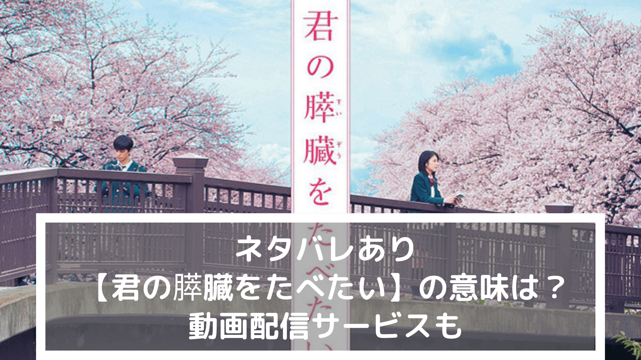 ネタバレあり 君の膵臓をたべたい の意味は 動画配信サービスも なるトピ